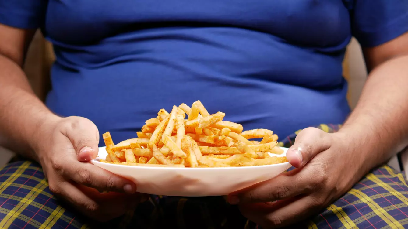 les causes de l’obésité